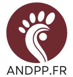 andpp.fr